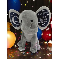 Eléphant Gris...
