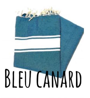 Bleu canard